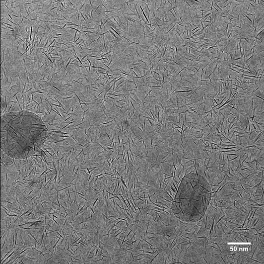 Cryo-TEM images of a dispersed hectorite