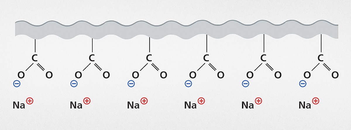 Sodium polyacrylate as a typical polyelectrolyte