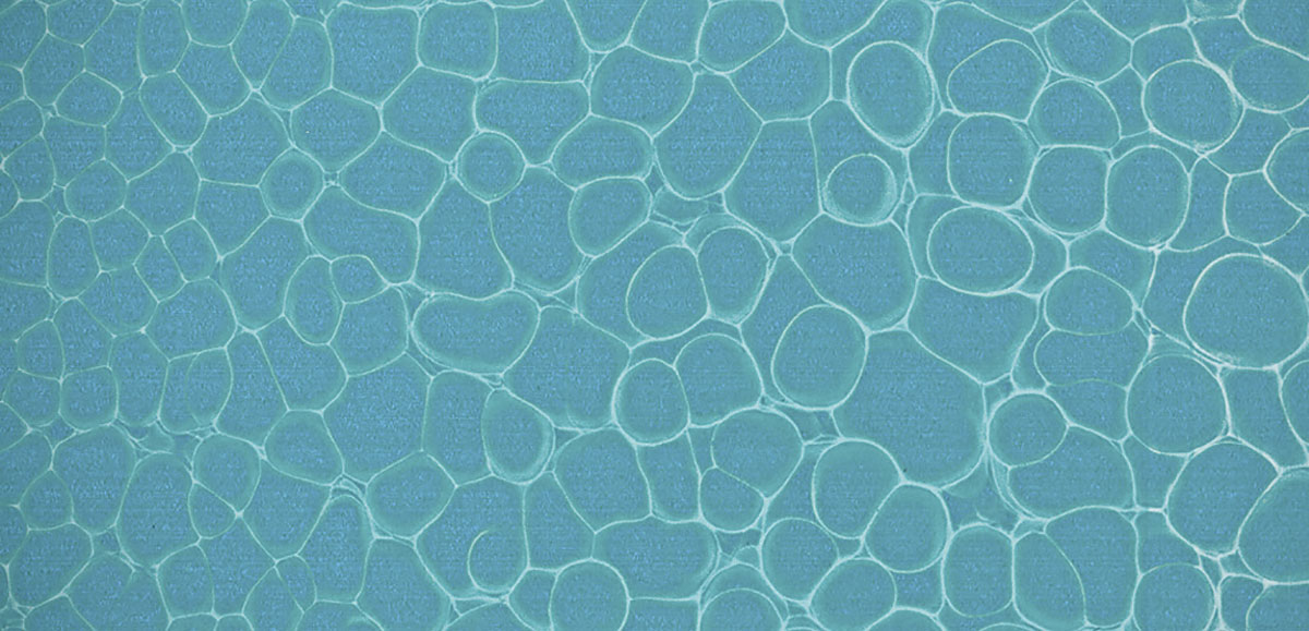 Phthalocyanine blue and titanium dioxide; formation of Bénard cells